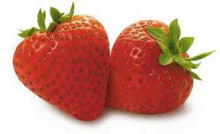 U-Pick Strawberries | UPick Strawberries | Strawberrys | Berrien County | Southwestern Michigan